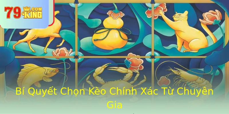Bí Quyết Chọn Kèo Chính Xác Từ Chuyên Gia Bí Quyết Chọn Kèo Chính Xác Từ Chuyên Gia